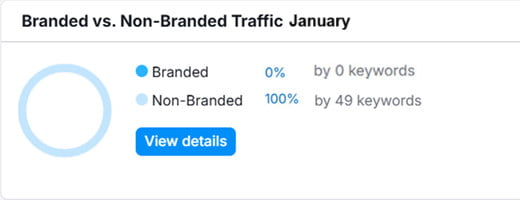 Branded vs. Non-Branded Traffic Branded vs. Non-Branded Traffic