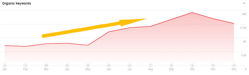 Ahrefs Organic Traffic & Keyword Rankings Graph Branded vs. Non-Branded Traffic