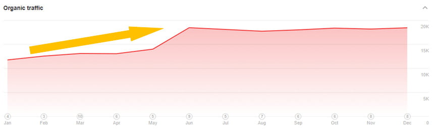 Ahrefs Organic Traffic & Keyword Rankings Graph Branded vs. Non-Branded Traffic