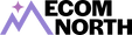 e-commerce-north